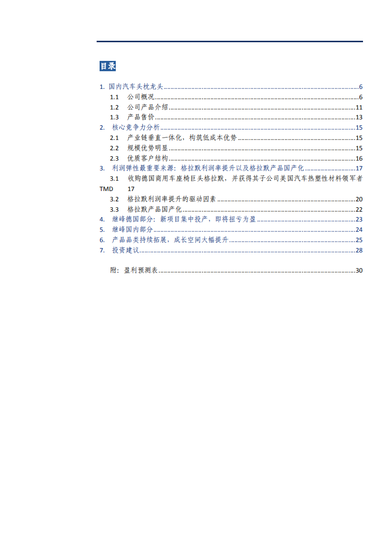 2021年继峰股份公司竞争优势与及格拉默产品国产化分析报告.pdf 第1页