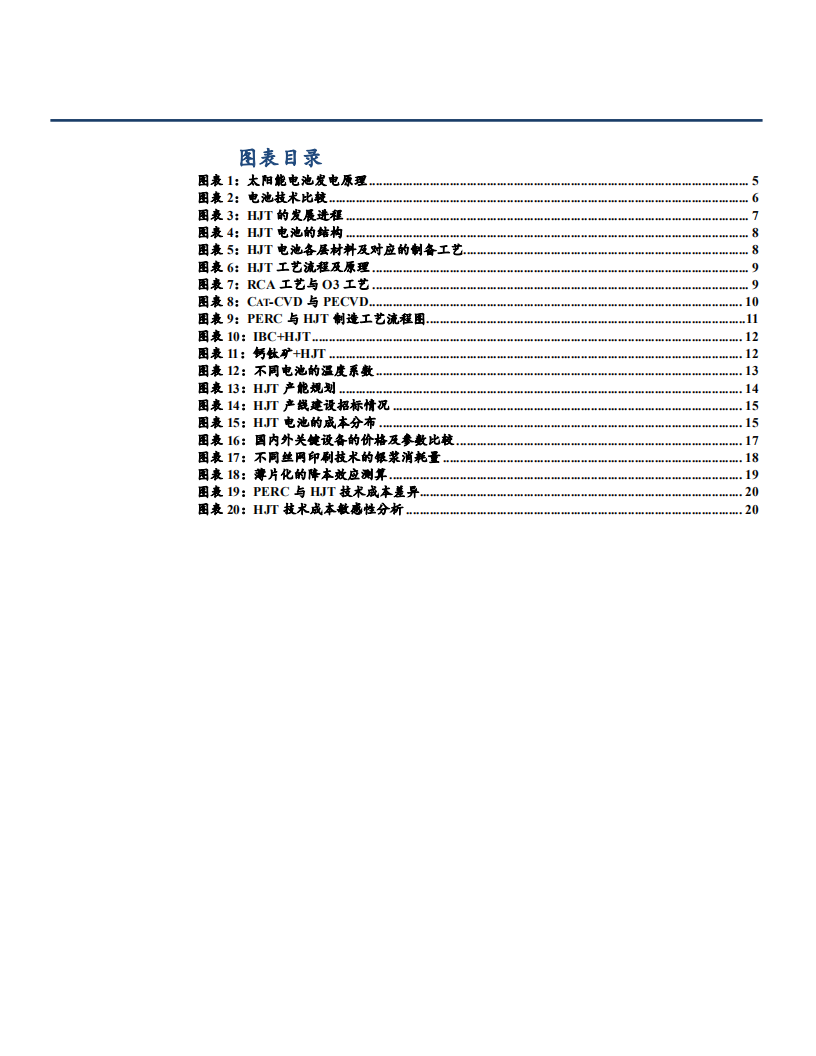 2021年光伏电池技术概述与HJT工艺前景分析报告.pdf 第2页