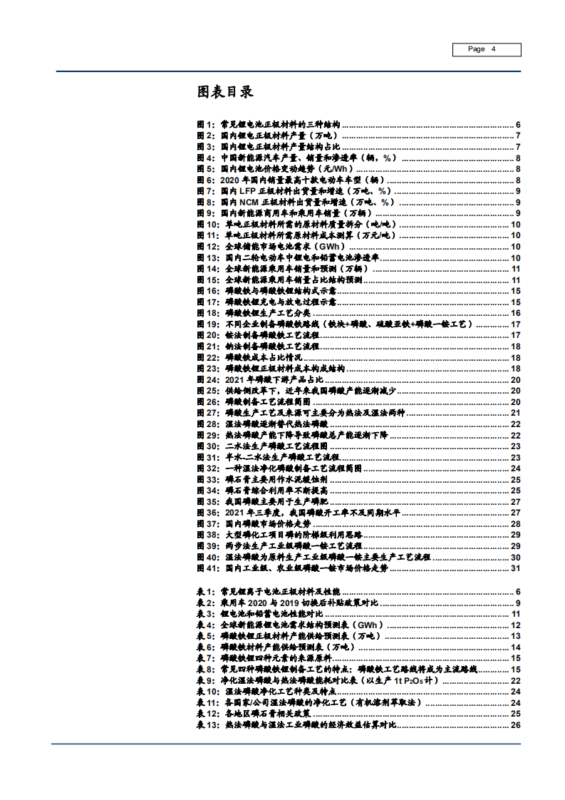 2021年LFP正极材料市场需求预测及湿法磷酸-磷酸铁产业景气度研究报告.pdf 第2页
