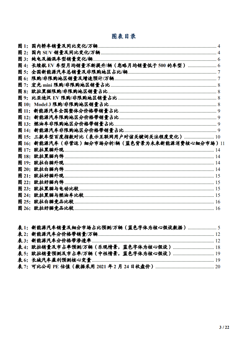2021年新能源市场需求趋势及长城欧拉竞争力分析报告.pdf 第2页