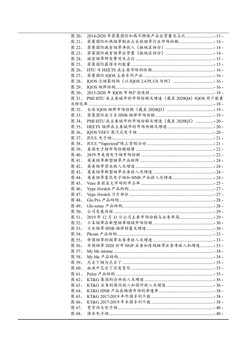 2021年全球电子烟市场现状及各烟草巨头发展趋势分析报告.pdf 第2页