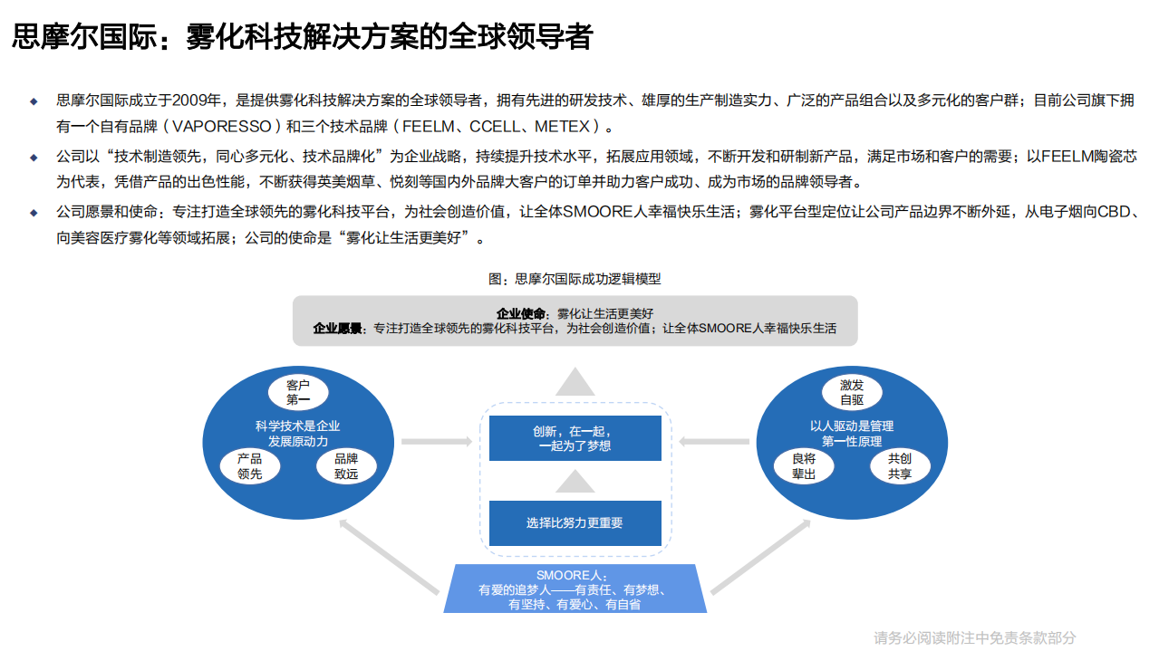 2022年全球电子烟雾化市场政策、竞争格局及思摩尔优势分析报告.pdf 第3页