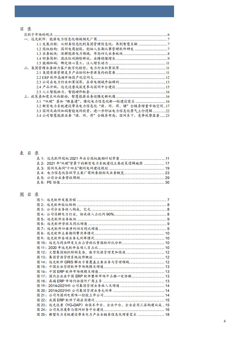 2022年能源电力信息化领先厂商远光软件企业股权财务发展分析报告.pdf 第1页