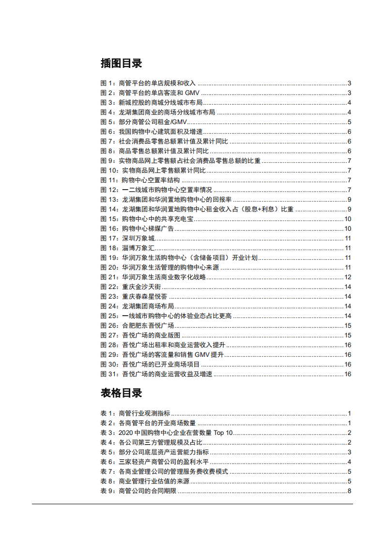 2021年商业地产发展空间与品牌竞争趋势分析报告.pdf 第2页