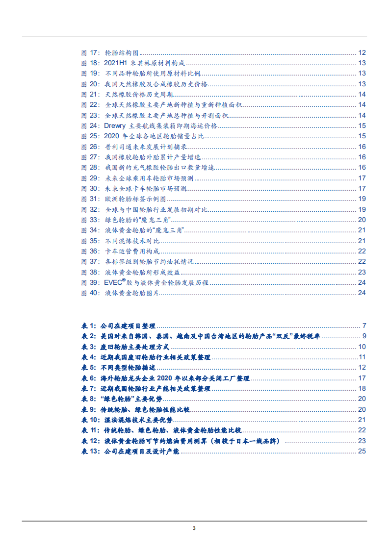 2021年国产龙头赛轮轮胎企业全球布局分析及规模优势研究报告.pdf 第2页