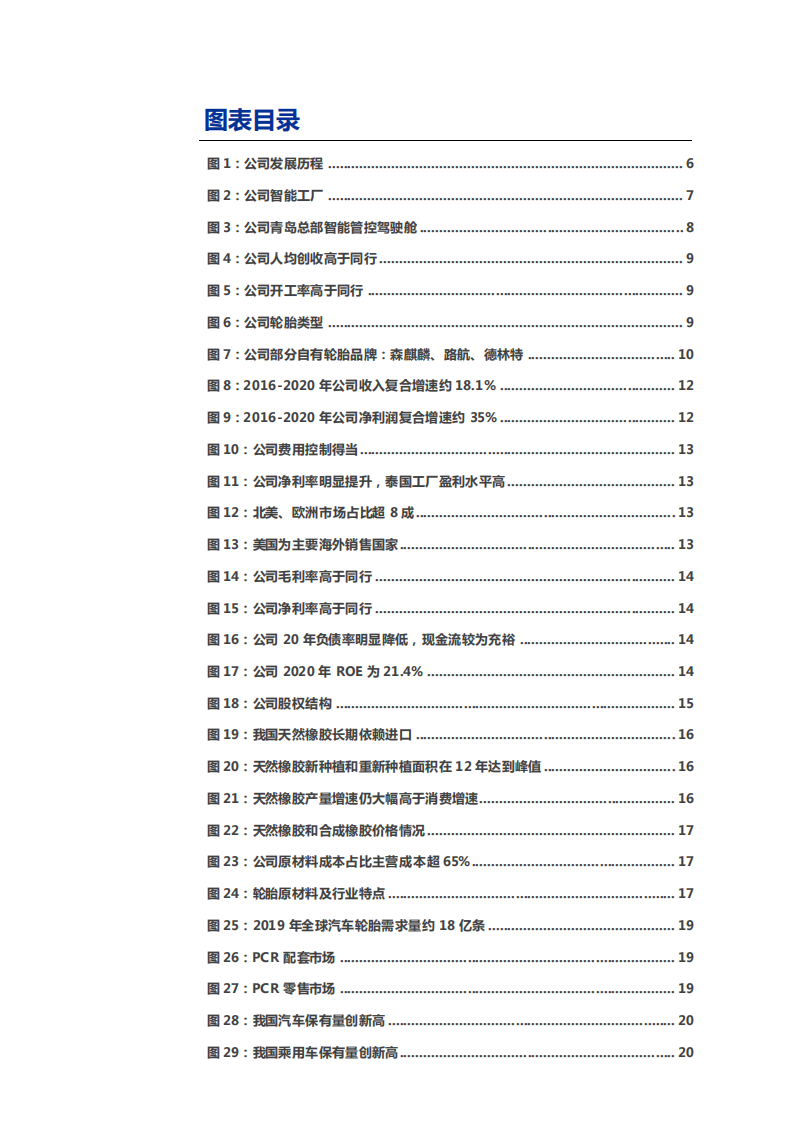 2021年全球轮胎市场发展趋势及森麒麟产品优势分析报告.pdf 第2页