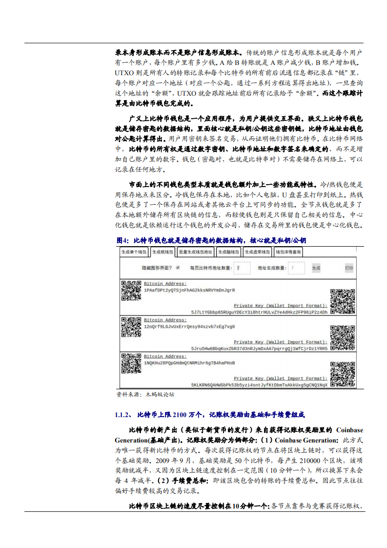 2021年区块链应用比特币大众化分析报告.pdf 第5页