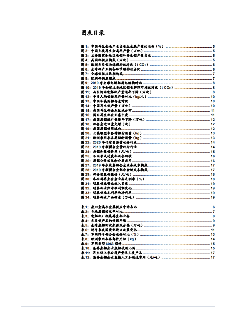 2021年碳中和下再生铝能源未来发展前景分析报告.pdf 第2页