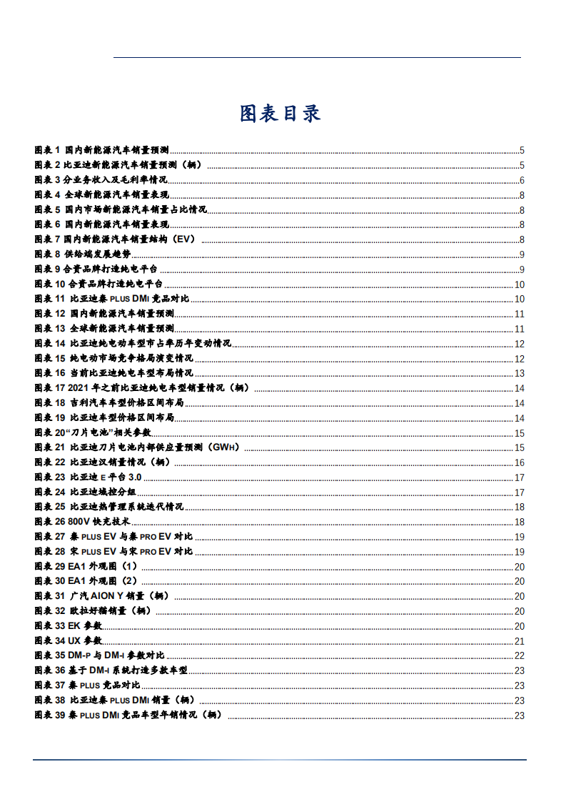 2021年新能源汽车发展前景与比亚迪车型布局分析报告.pdf 第2页