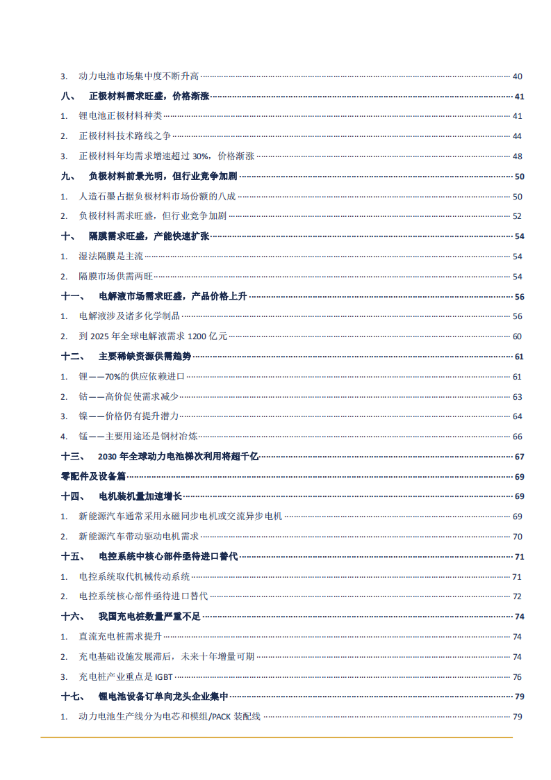 2021年新能源汽车发展趋势与动力电池市场前景分析报告.pdf 第2页