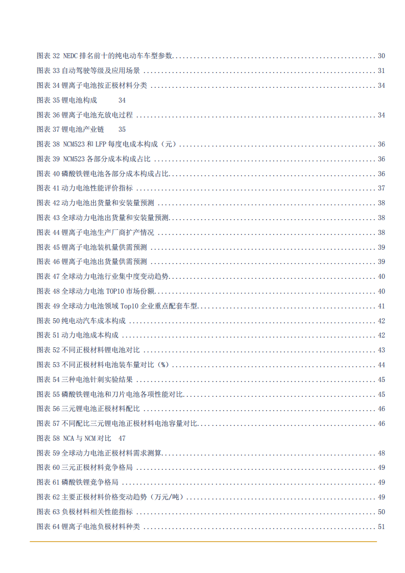 2021年新能源汽车发展趋势与动力电池市场前景分析报告.pdf 第6页