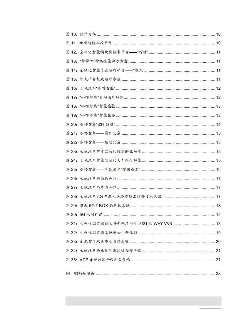 2021年长城汽车产品定位及智能化趋势分析报告.pdf 第2页