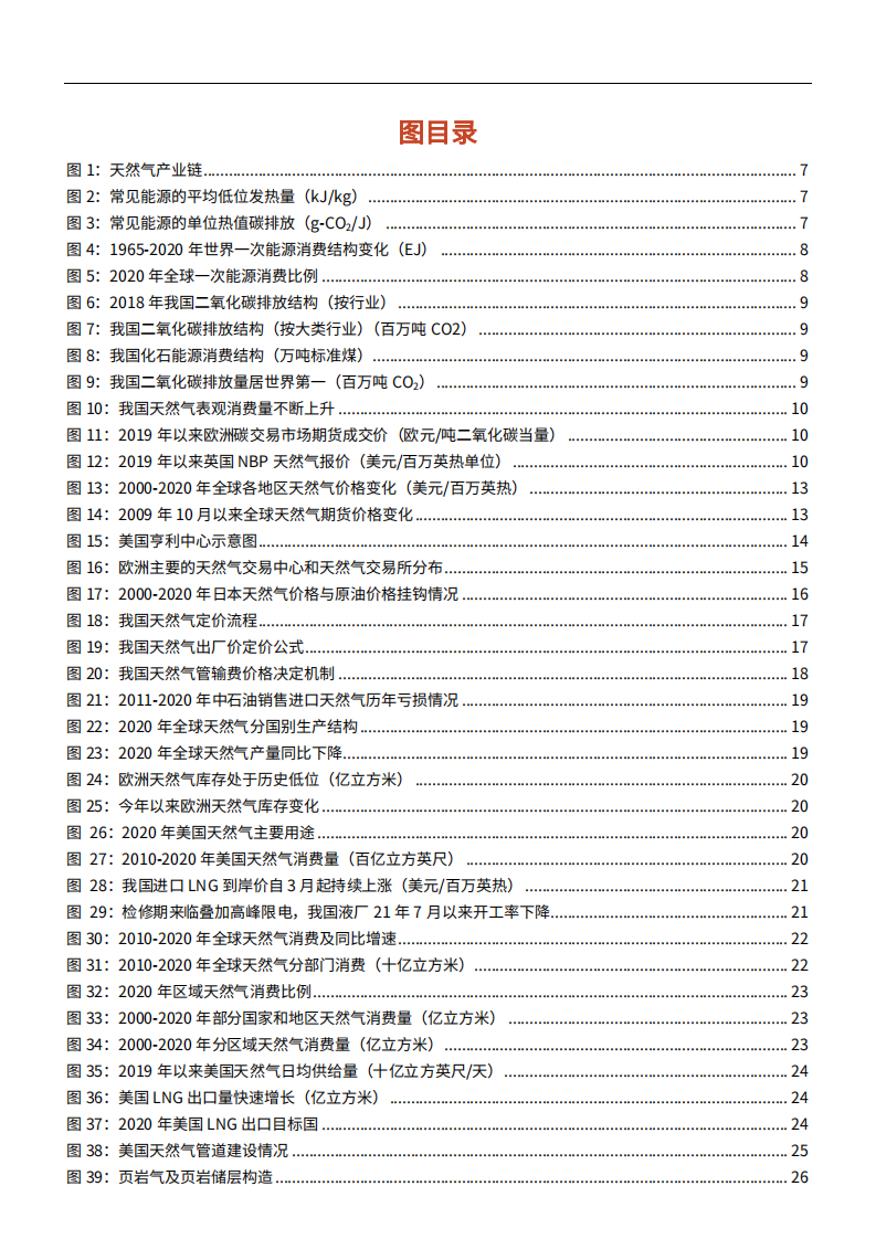 2021年全球及国内天然气市场供需分析报告.pdf 第2页