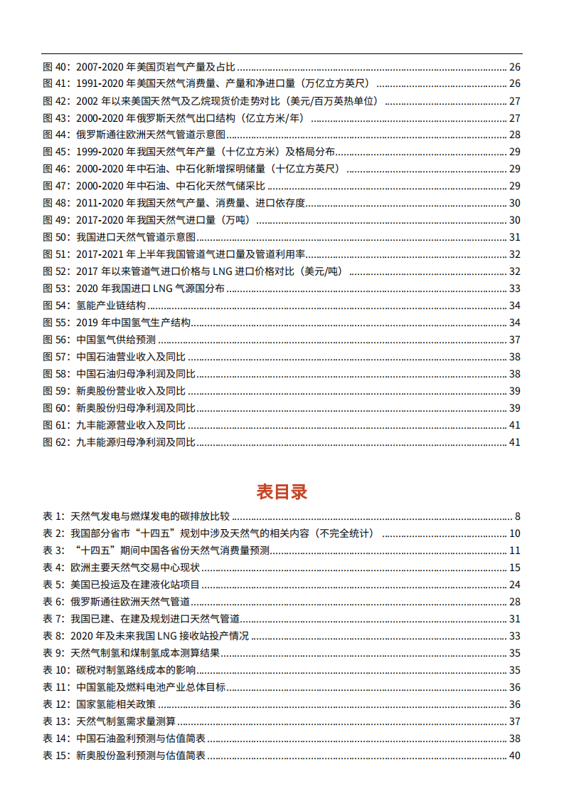 2021年全球及国内天然气市场供需分析报告.pdf 第3页