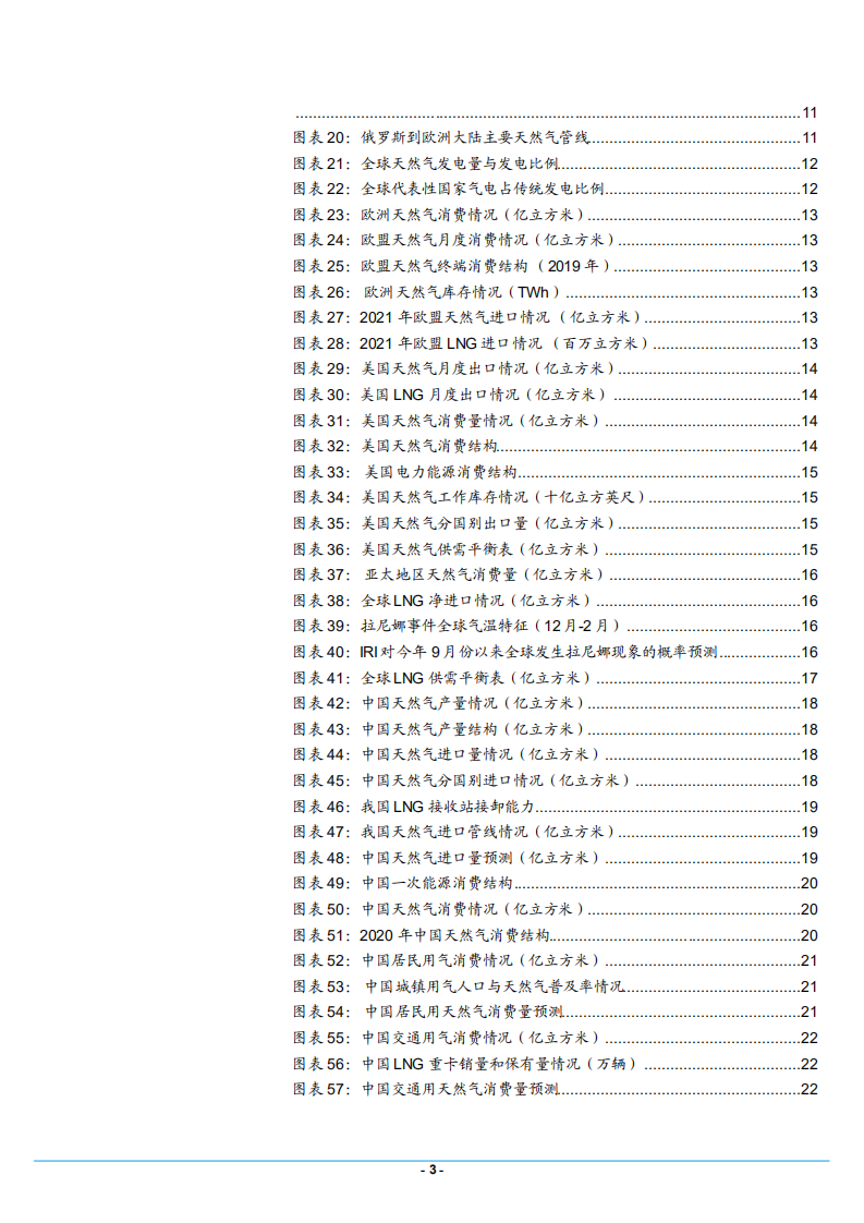 2021年中国天然气市场供给需求格局研究报告.pdf 第1页