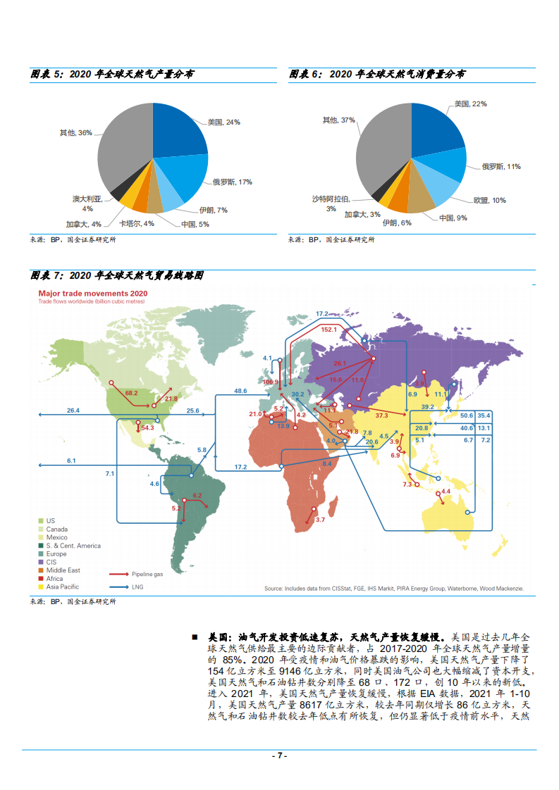 2021年中国天然气市场供给需求格局研究报告.pdf 第6页
