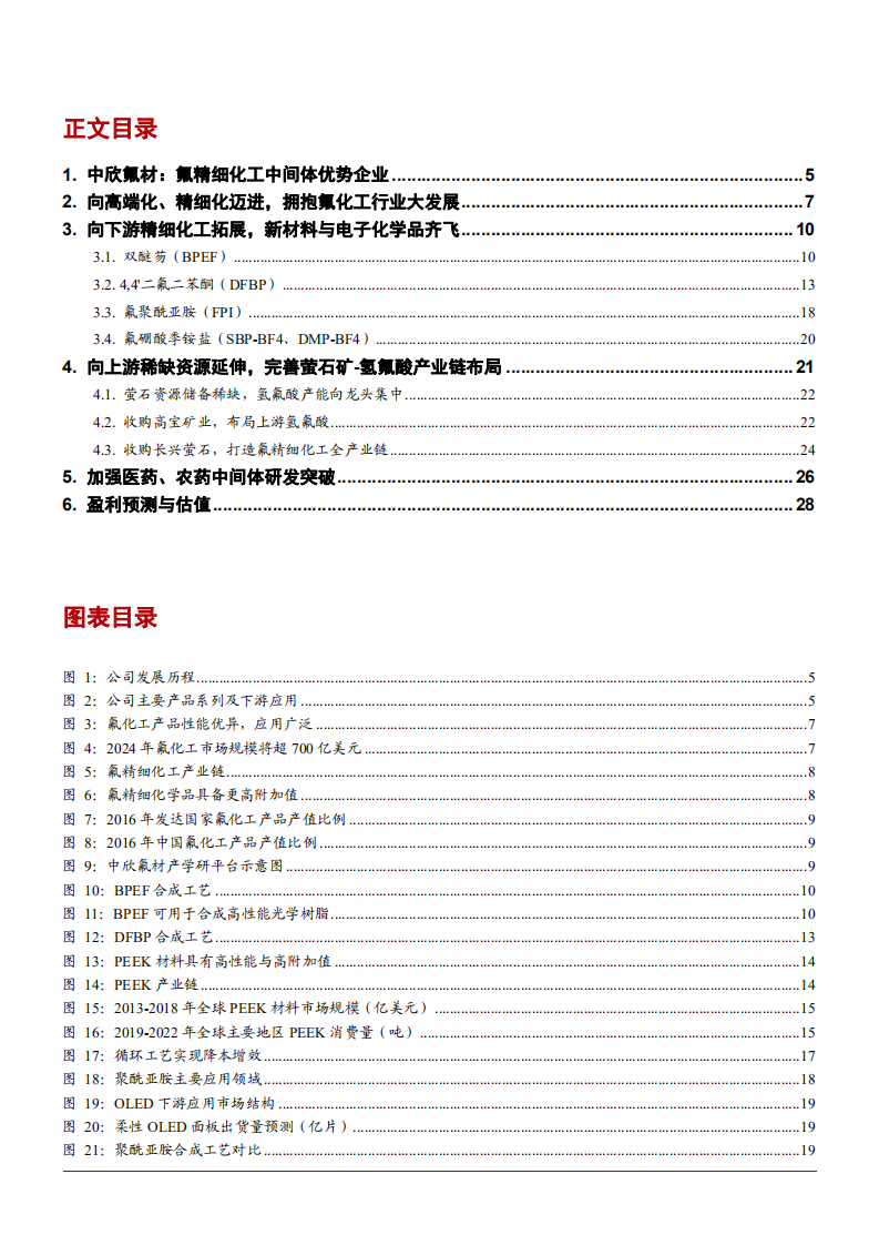 2021年氟精细化工优势企业中欣氟材产业链布局分析报告.pdf 第1页