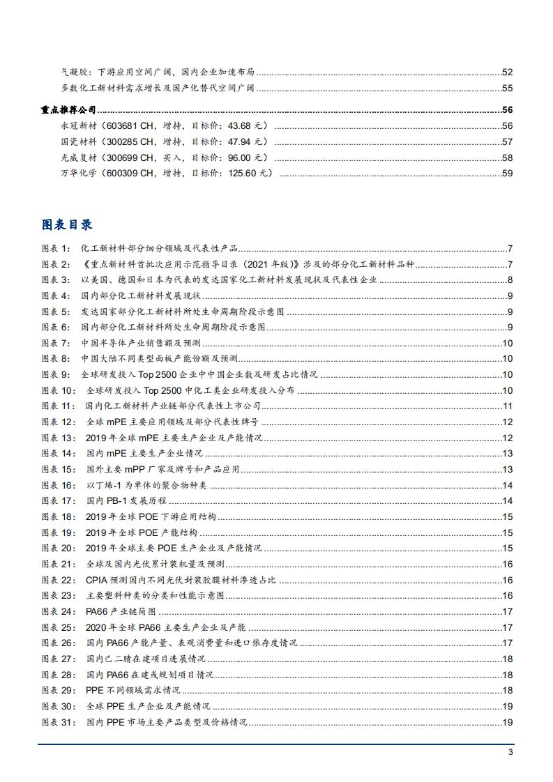 2022年化工新材料发展现状分析及细分领域研究报告.pdf 第2页