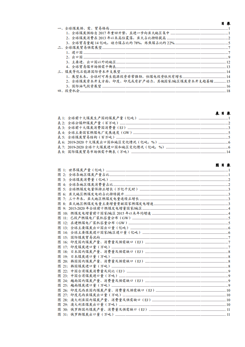 2021年全球煤炭供需形势深度研究分析报告.pdf 第1页