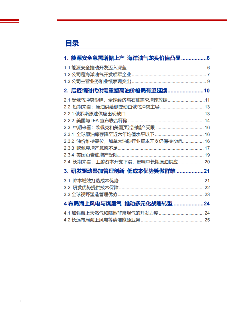 2022年全球石油市场供需格局及中国海油竞争优势分析报告.pdf 第1页