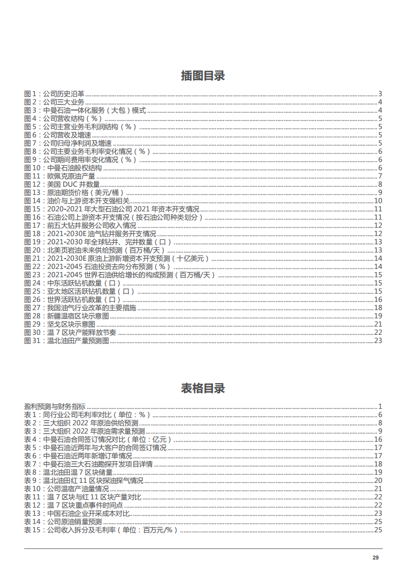 2022年石油钻井工程服务企业中曼石油勘探开发产业链布局研究报告.pdf 第2页