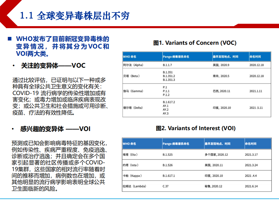 2021年全球新冠疫情发展新局势及特效药研发进展分析报告.pdf 第2页