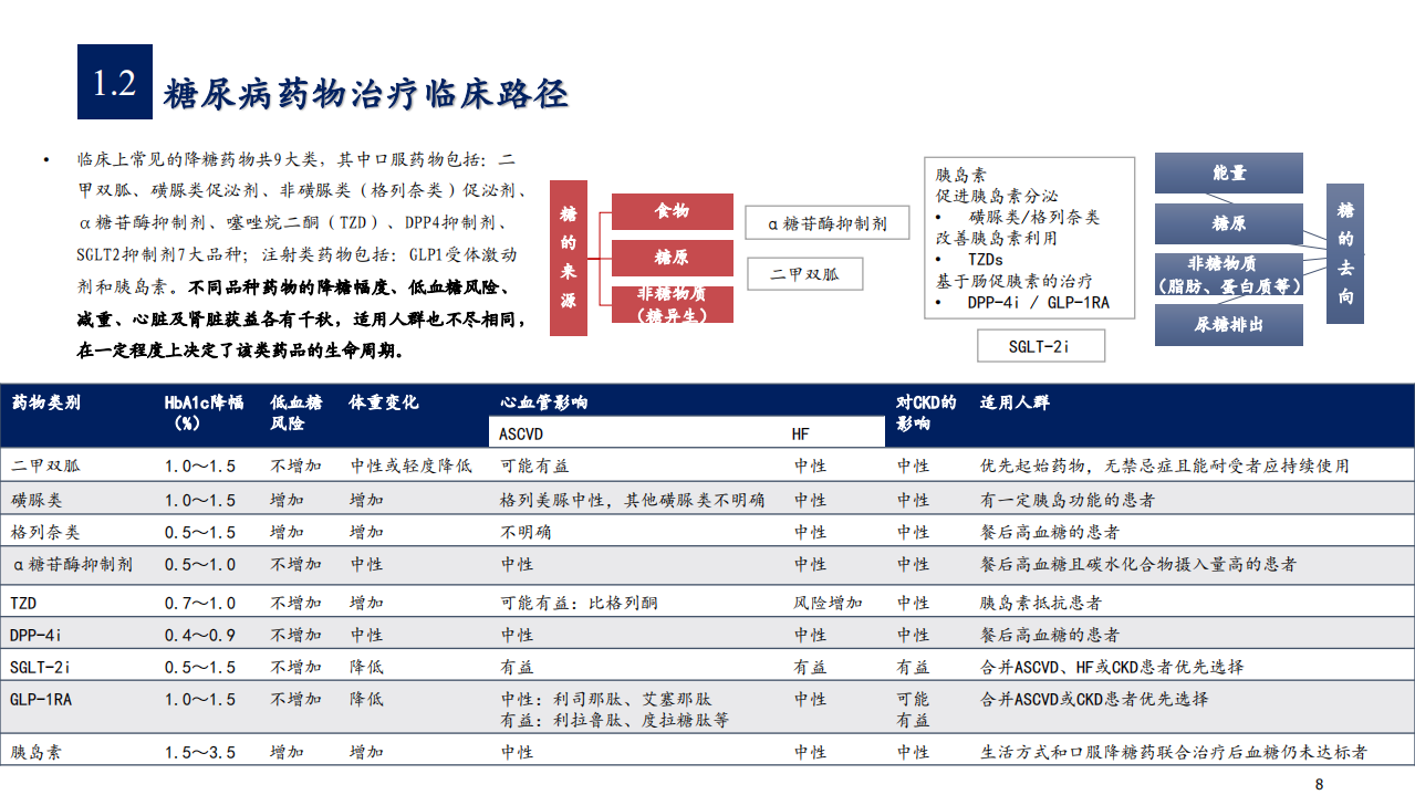 2021年糖尿病药物市场现状及发展趋势分析报告.pdf 第6页