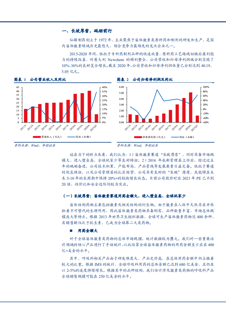2021年仙琚制药原材料及制剂业务短中长期发展趋势分析报告.pdf 第4页