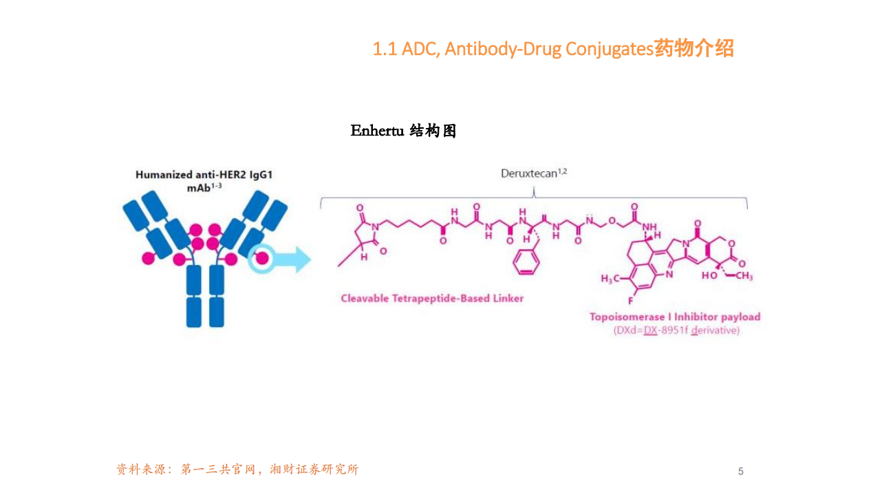 2021年ADC药物市场格局规模分析及核心技术难点分析报告.pdf 第4页