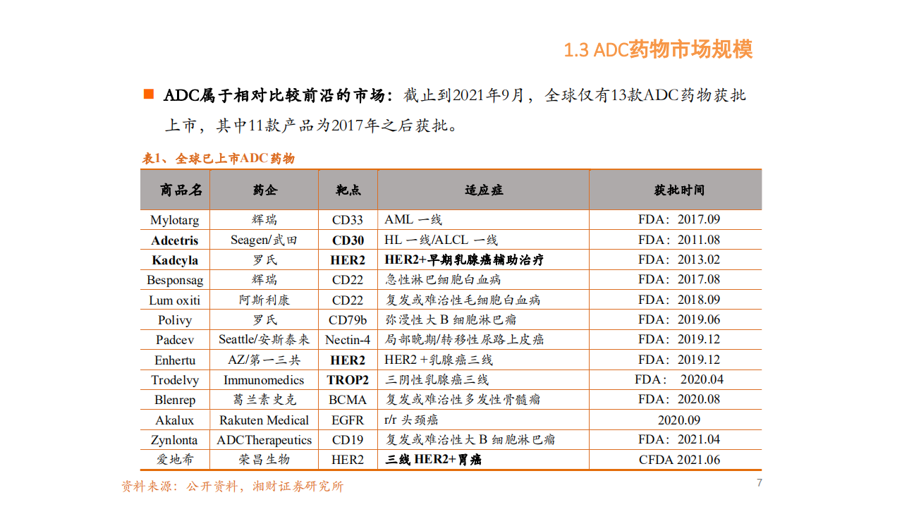 2021年ADC药物市场格局规模分析及核心技术难点分析报告.pdf 第6页