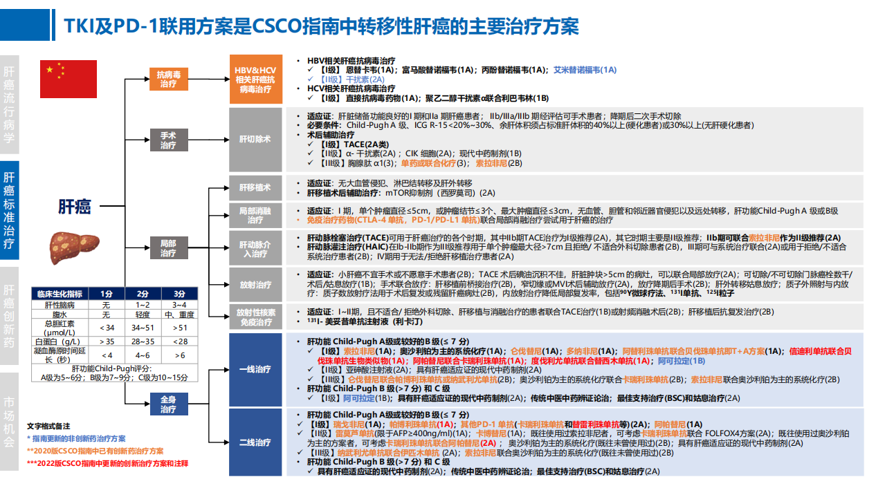 2022年中国肝癌创新药竞争格局现状及市场机会分析报告.pdf 第6页