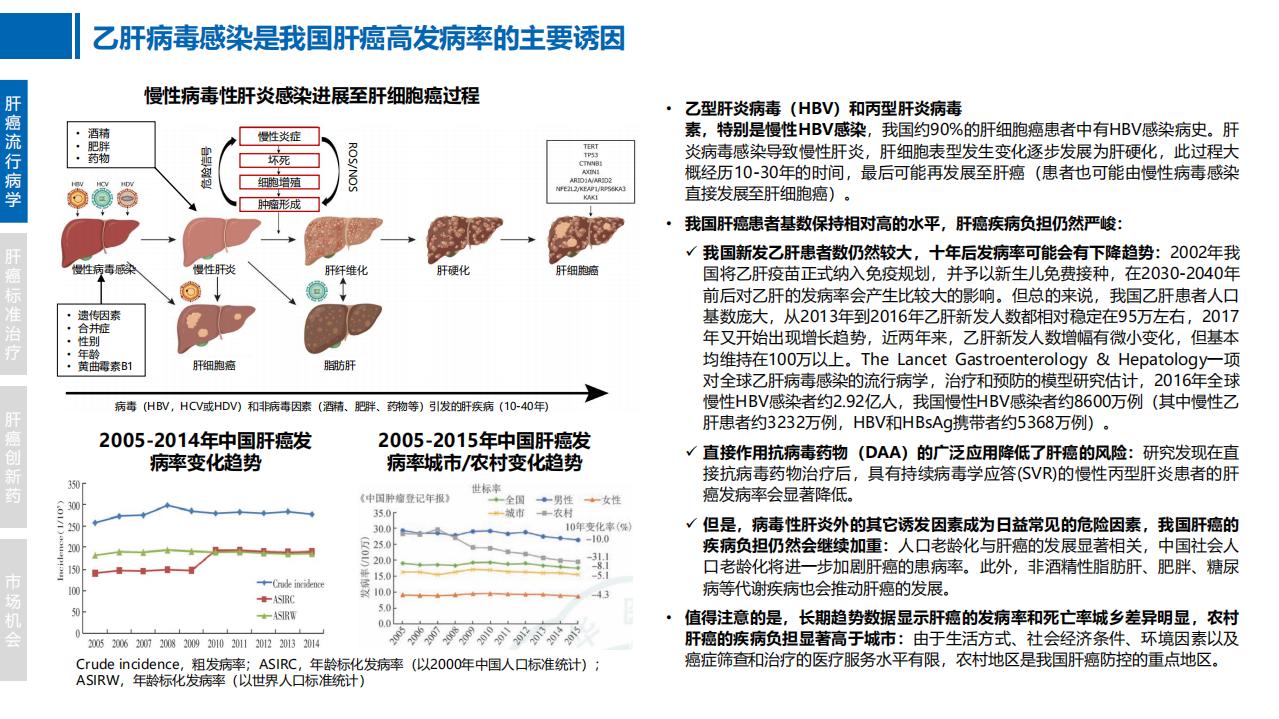 2022年中国肝癌创新药竞争格局现状及市场机会分析报告.pdf 第4页