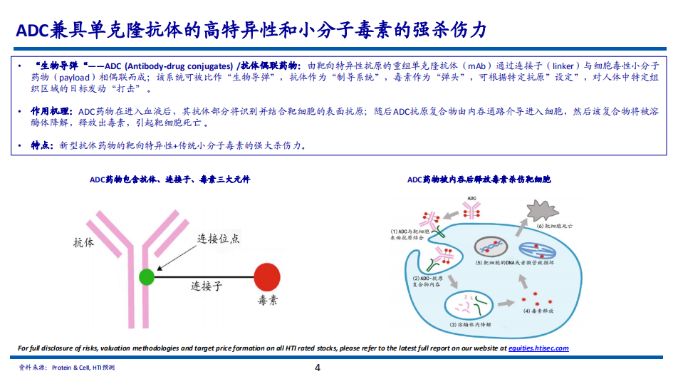 2022年ADC药物商业化发展历程及重要品种技术平台分析报告.pdf 第2页