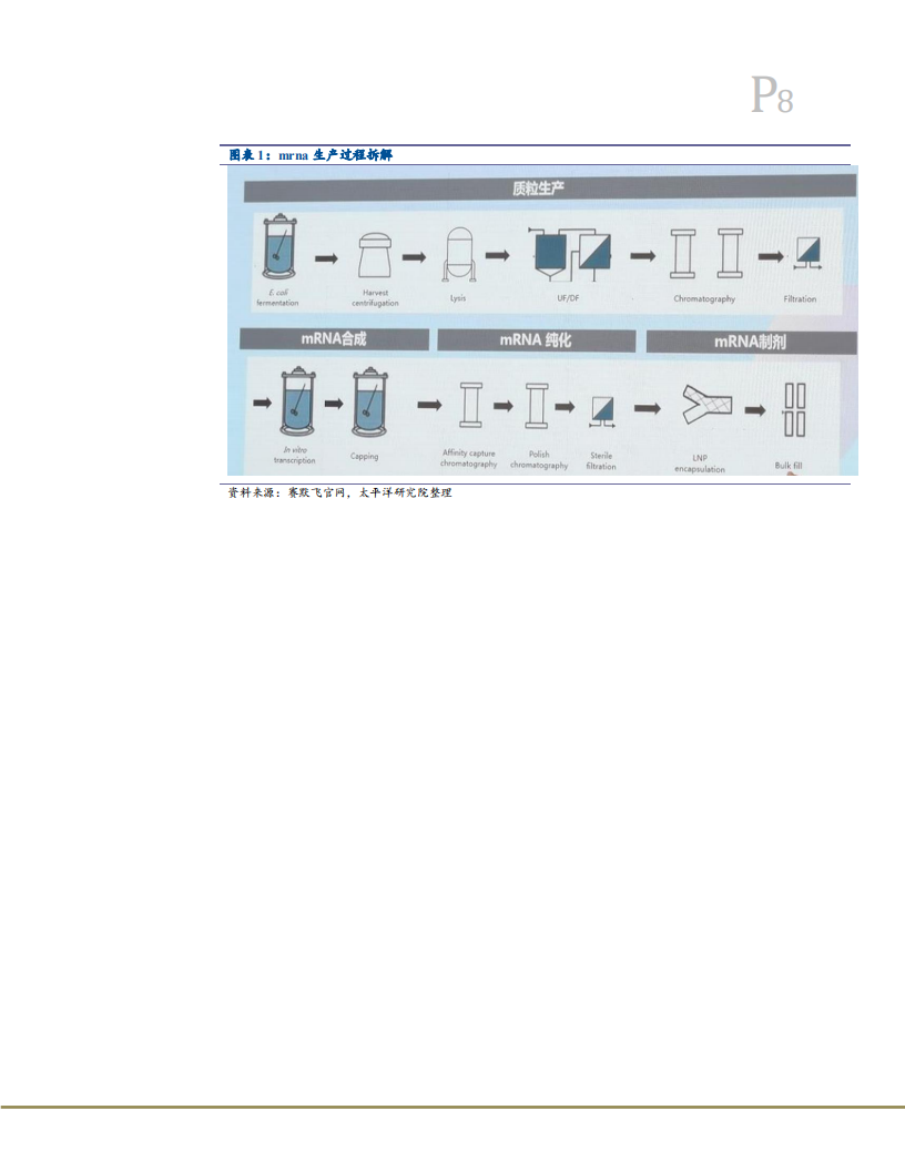 2021年mRNA疫苗相关产业链价值分析及原料成本测算报告.pdf 第5页