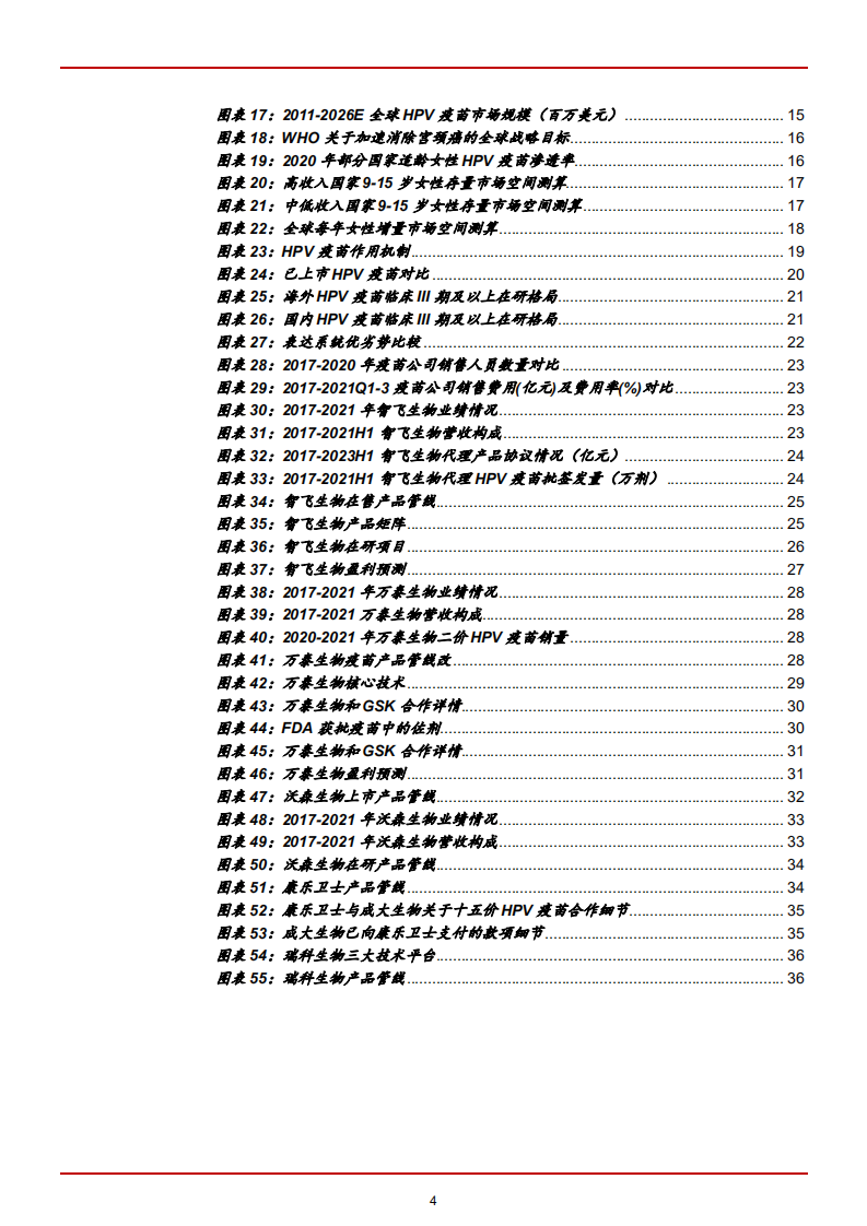 2022年中国HPV疫苗存量市场现状及全球竞争格局分析报告.pdf 第2页