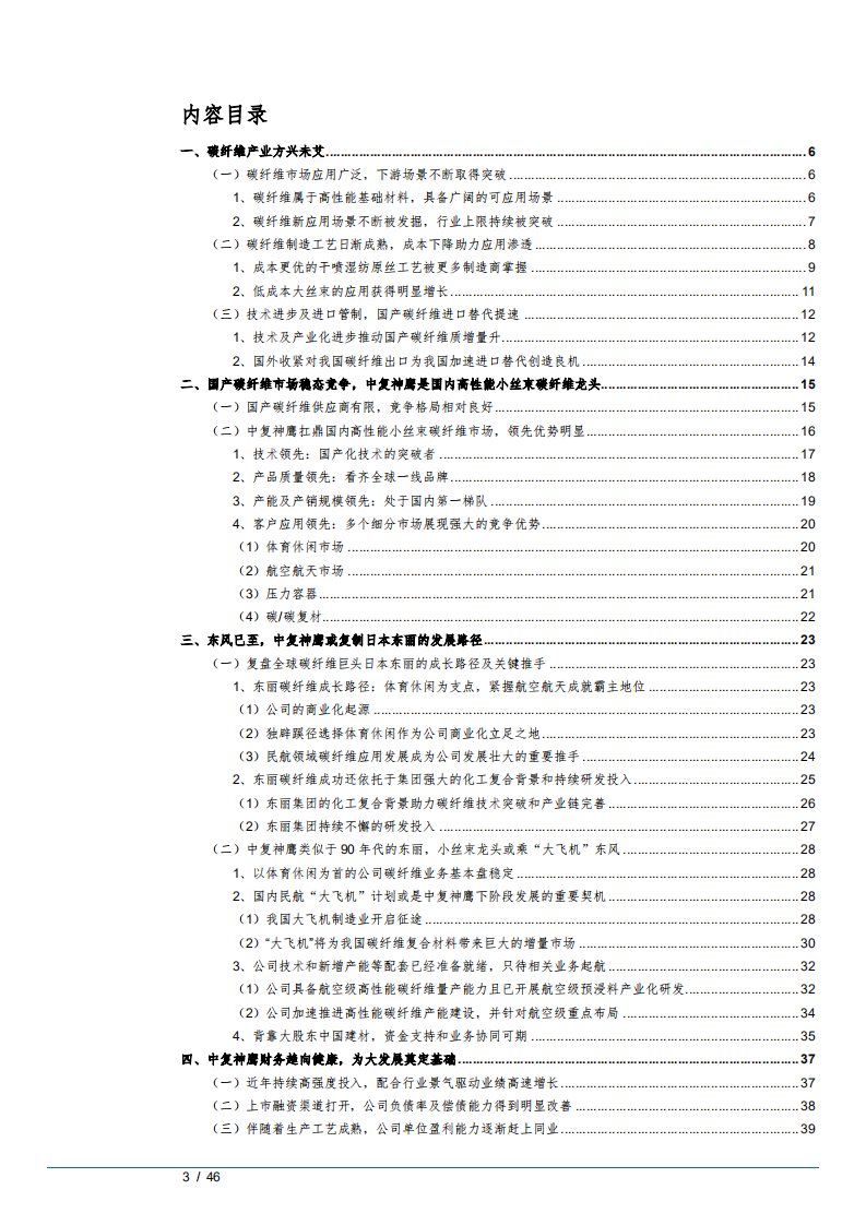 2022年碳纤维市场竞争格局及中复神鹰发展路径分析报告.pdf 第1页