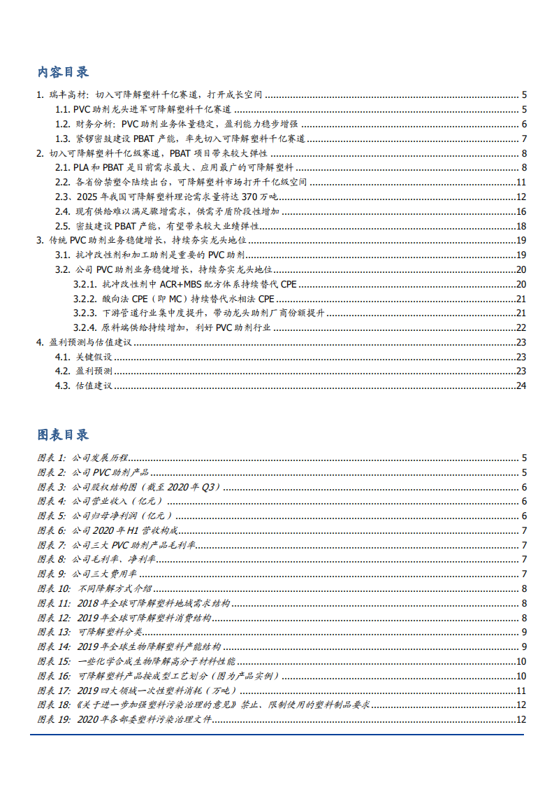 2021年可降解塑料市场现状及瑞丰高材公司PVC业务分析报告.pdf 第1页