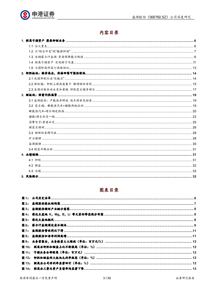 盐湖股份-钾锂龙头，浴火重生-220105.pdf 第3页