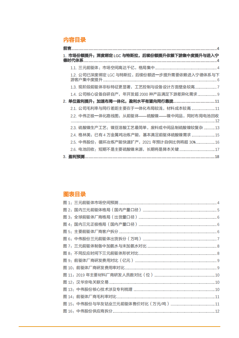 2021年前驱体龙头中伟股份公司一体化布局分析报告.pdf 第1页