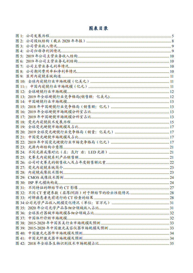 2021年全球硬镜市场现状及海泰新光公司前景分析报告.pdf 第2页