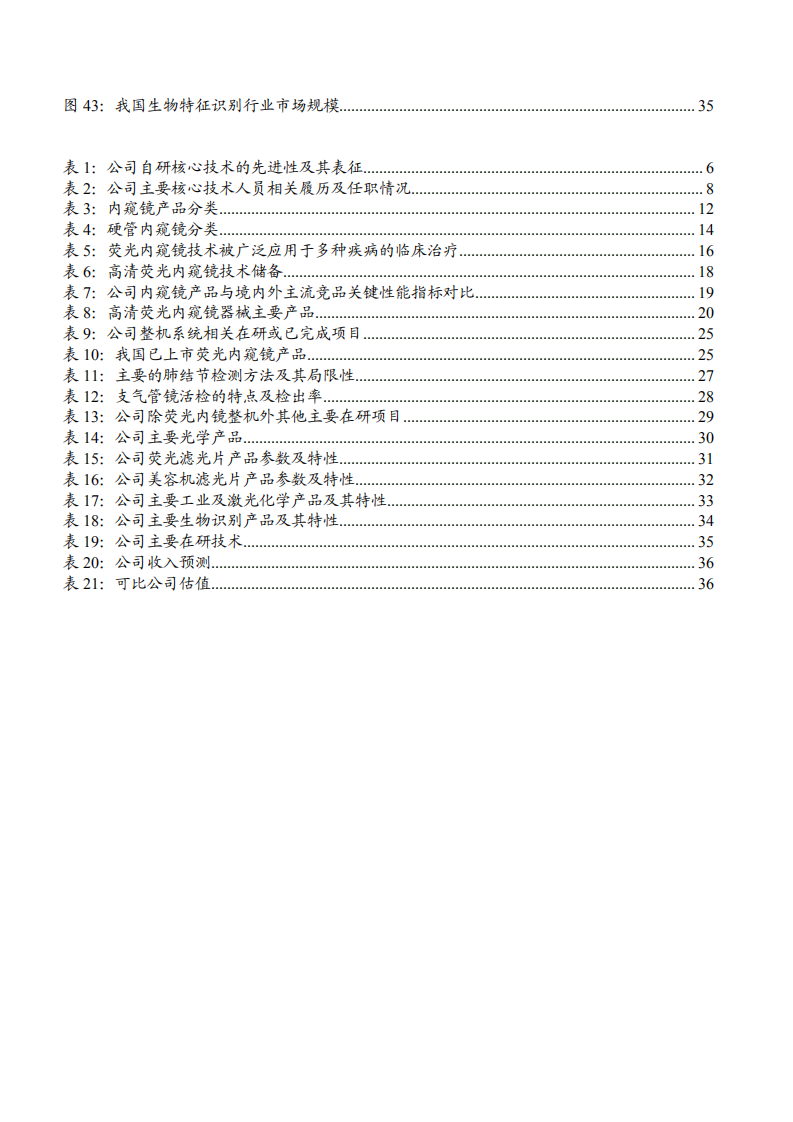 2021年全球硬镜市场现状及海泰新光公司前景分析报告.pdf 第3页