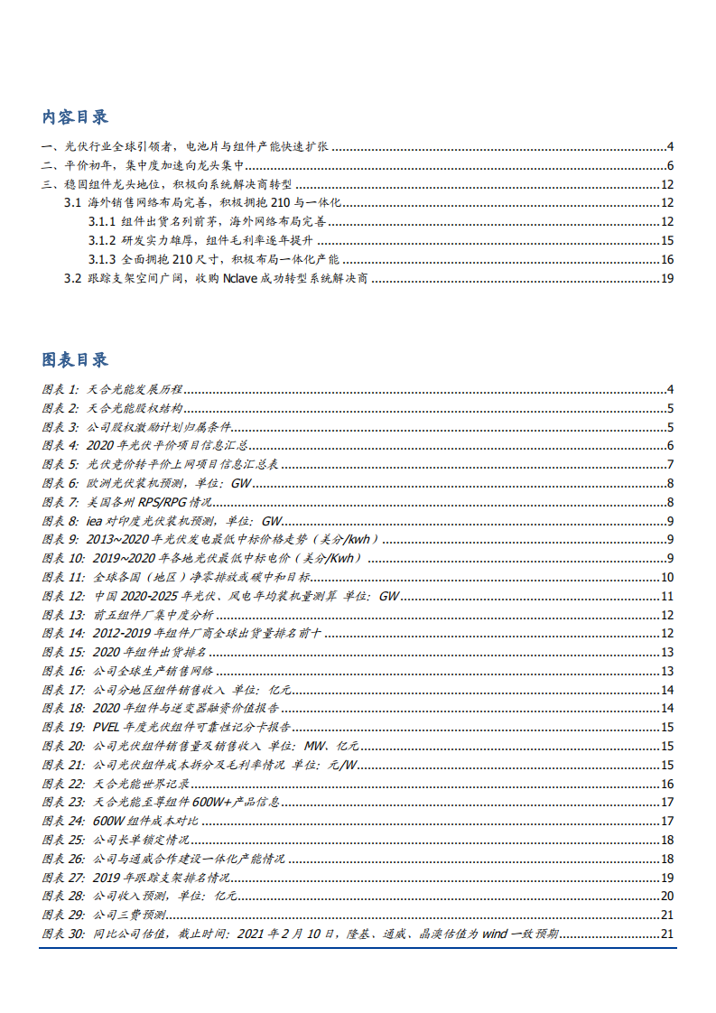 2021年全球组件龙头天合光能公司一体化布局分析报告.pdf 第1页
