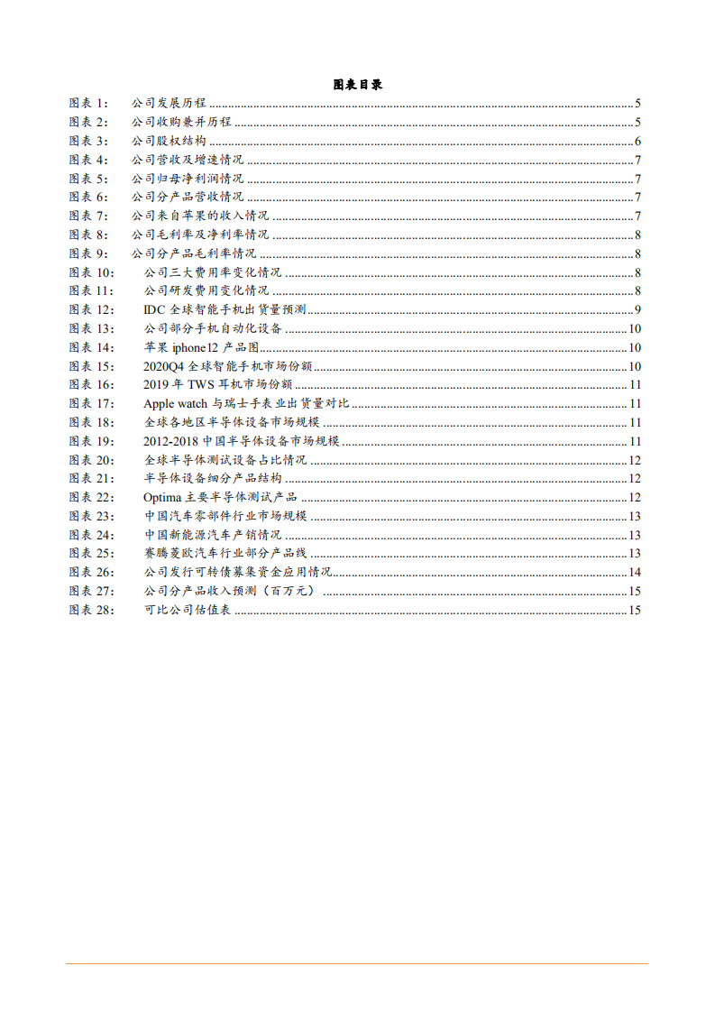 2021年赛腾股份公司产品布局及盈利能力分析报告.pdf 第2页