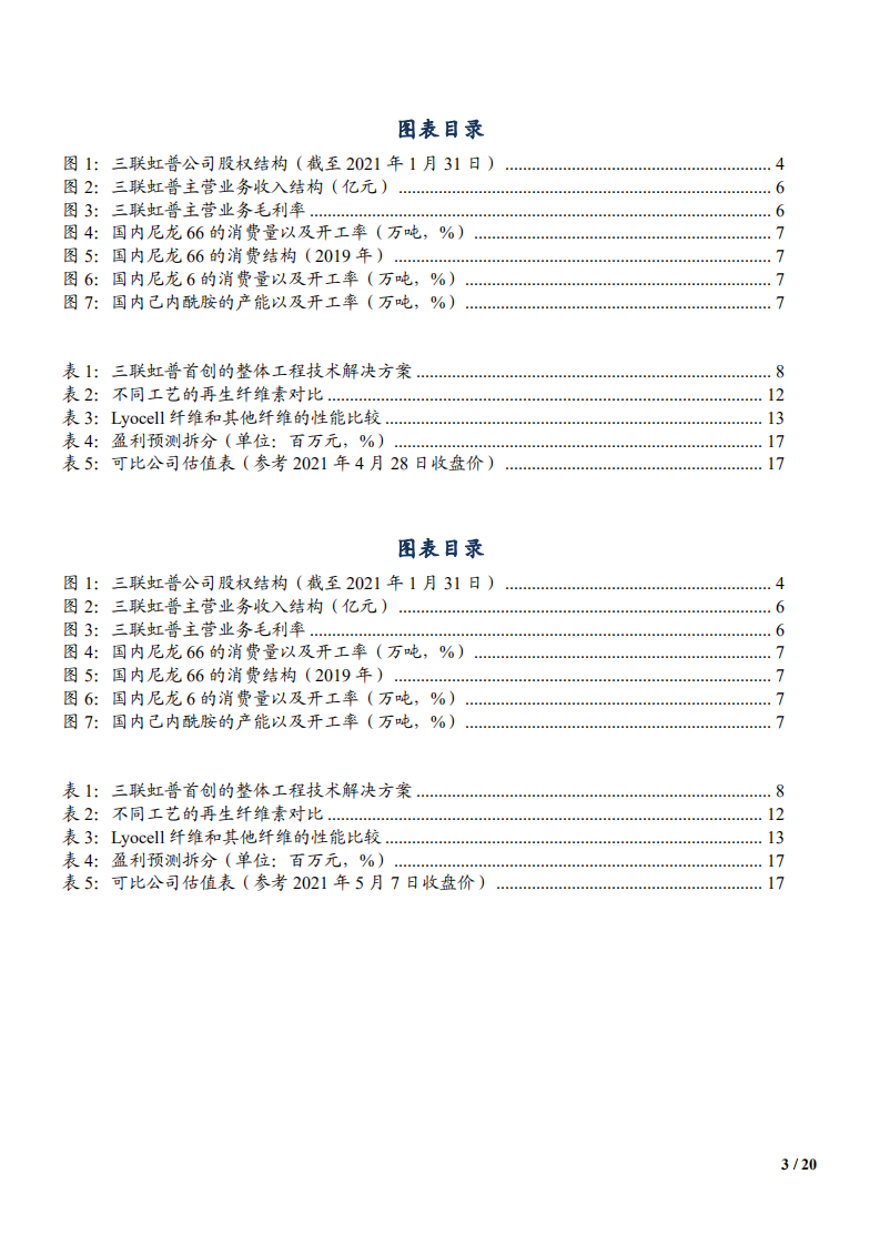2021年三联虹普公司业务布局与盈利能力分析报告.pdf 第2页