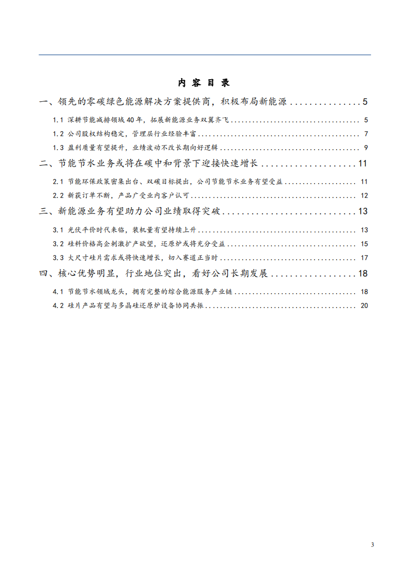 2021年双良节能公司新能源业务与竞争优势分析报告.pdf 第1页