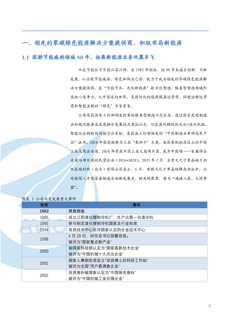 2021年双良节能公司新能源业务与竞争优势分析报告.pdf 第3页