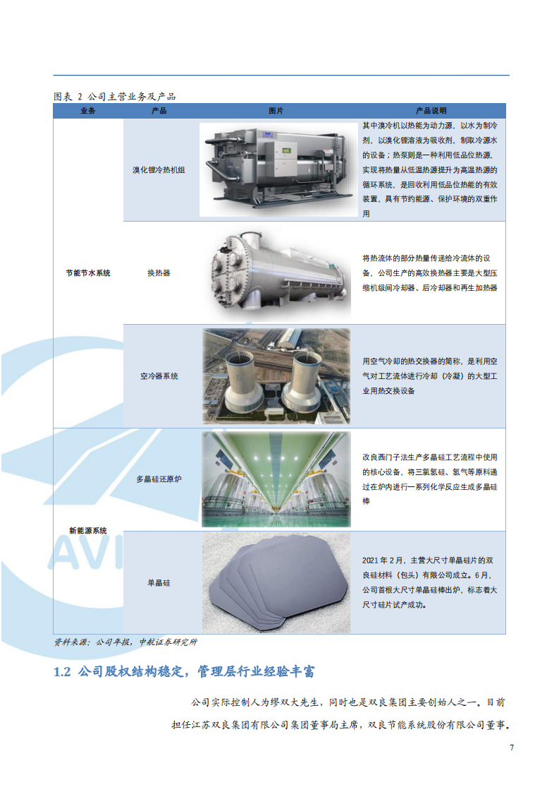 2021年双良节能公司新能源业务与竞争优势分析报告.pdf 第5页