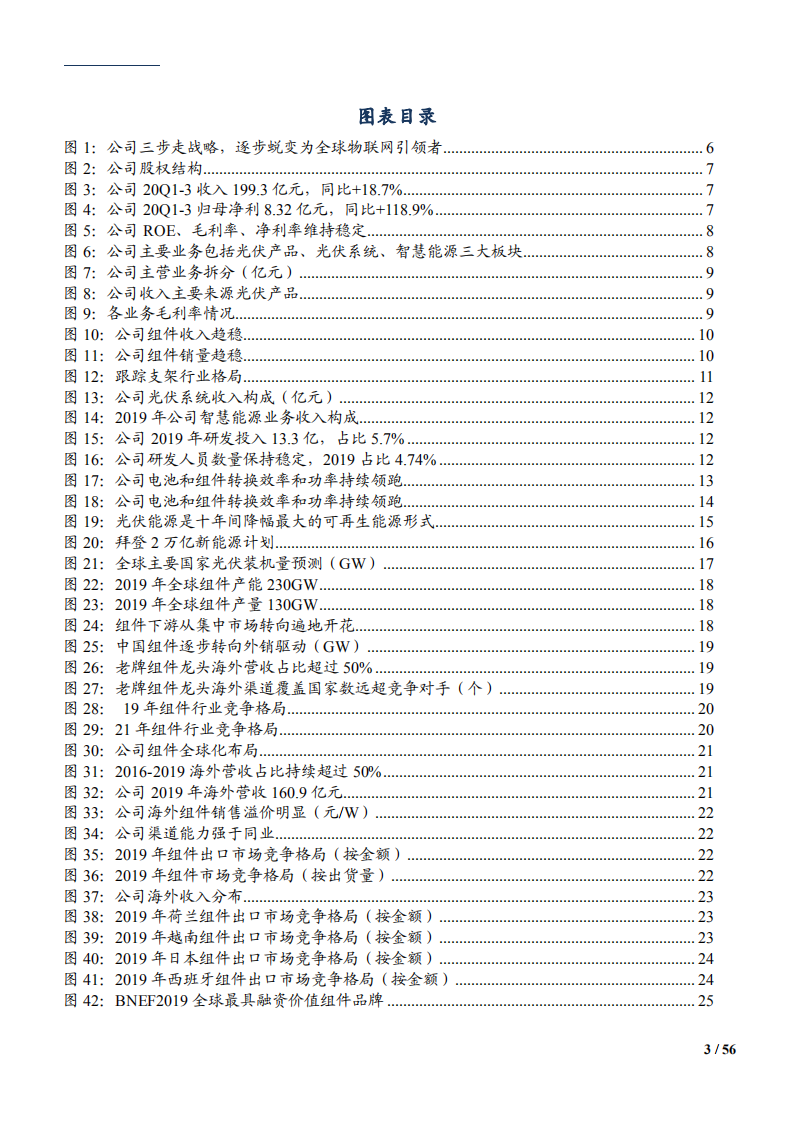 2021年天合光能公司战略规划和渠道优势分析报告.pdf 第2页
