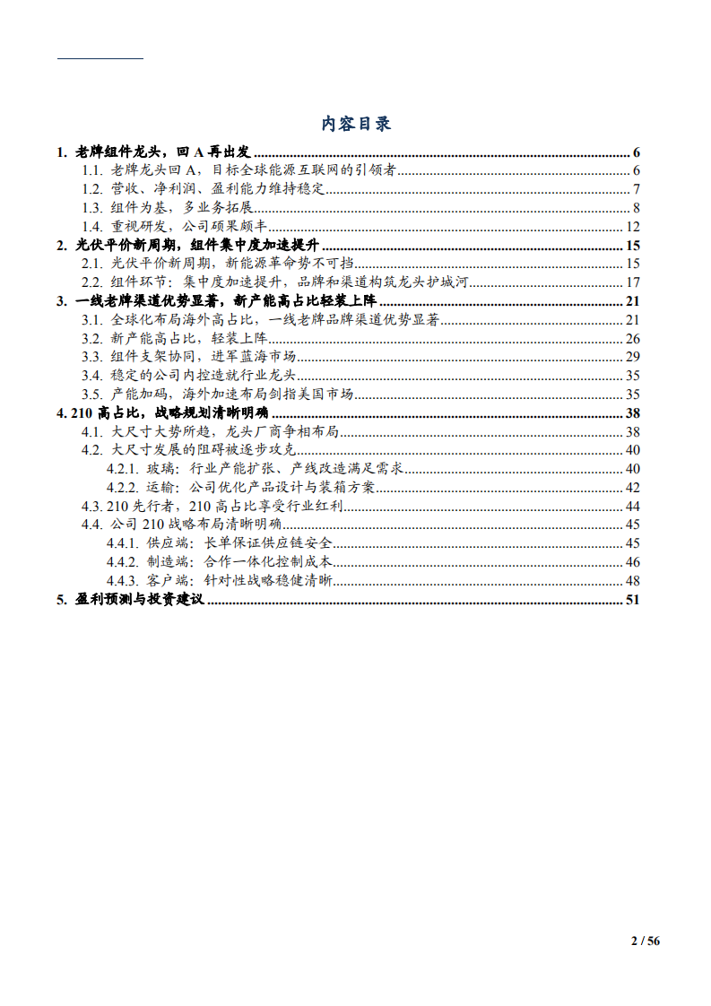 2021年天合光能公司战略规划和渠道优势分析报告.pdf 第1页