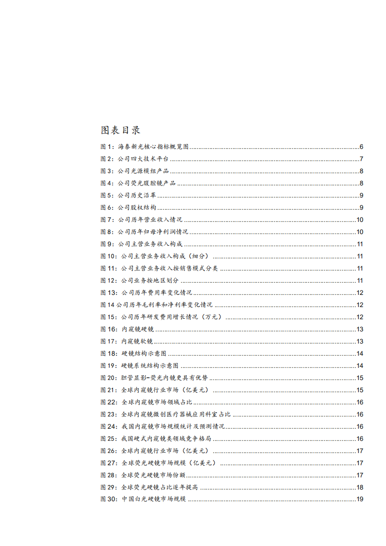 2021年荧光内窥镜龙头海泰新光公司竞争优势分析报告.pdf 第2页